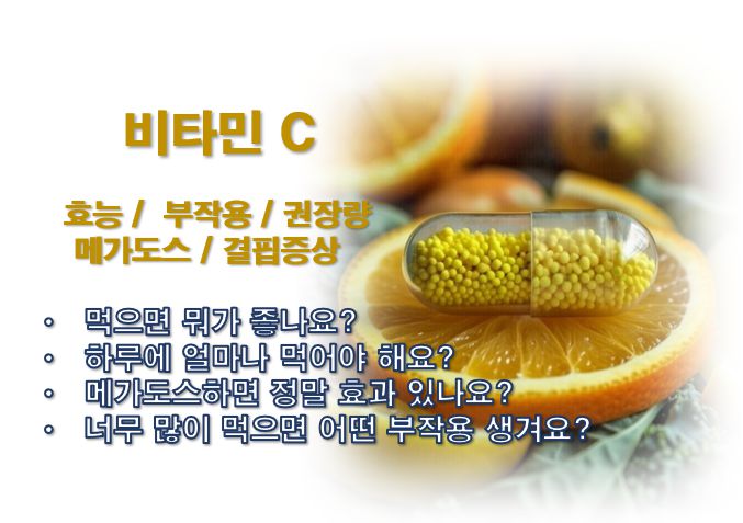 비타민 C 효능 부작용 결핍증상 메가도스 관련 정보 글 사진