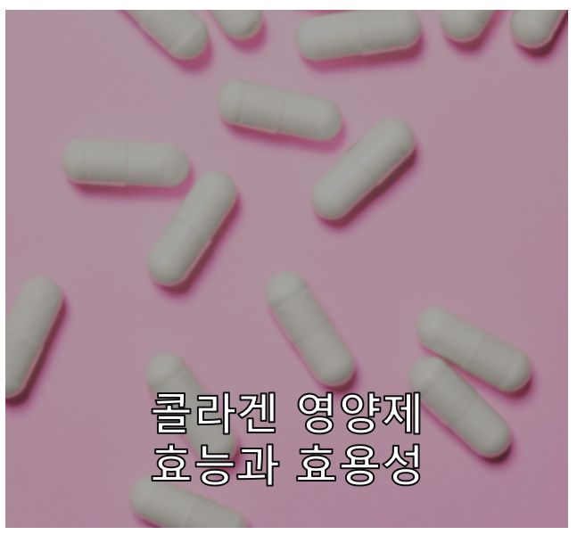 콜라겐 영양제의 효능
