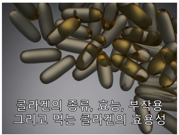 콜라겐 영양제
