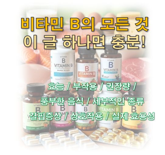 비타민 B 효능 부작용 권장량 상호작용 결핍증상 효용성 정보 글 사진