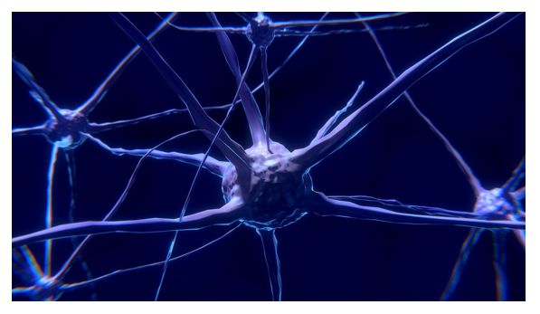 구안와사 안면마비 치료법 구안와사 회복기간 구안와사 후유증 관련 글 3번째 사진 신경사진