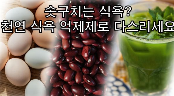 천연식욕억제 정보글 커버 사진