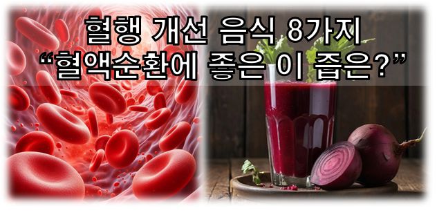 혈행개선음식 석류 비트 감귤류과일 장과류 정보글 커버 사진