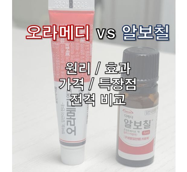 오라메디 vs 알보칠 정보 글 사진