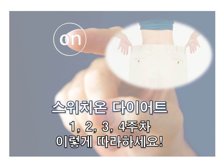스위치온 다이어트 1 2 3 4주차 방법 유지기 정보 글 사진