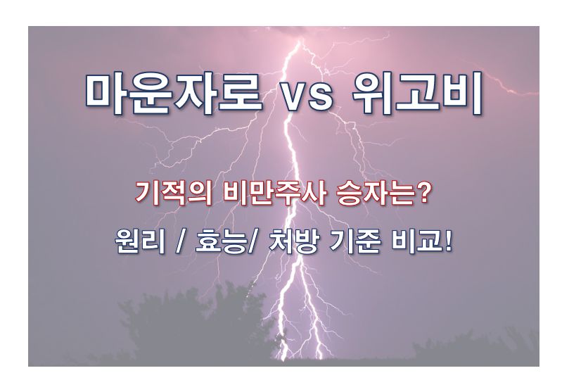 비만주사 마운자로 위고비 효능 기전 처방기준 비교