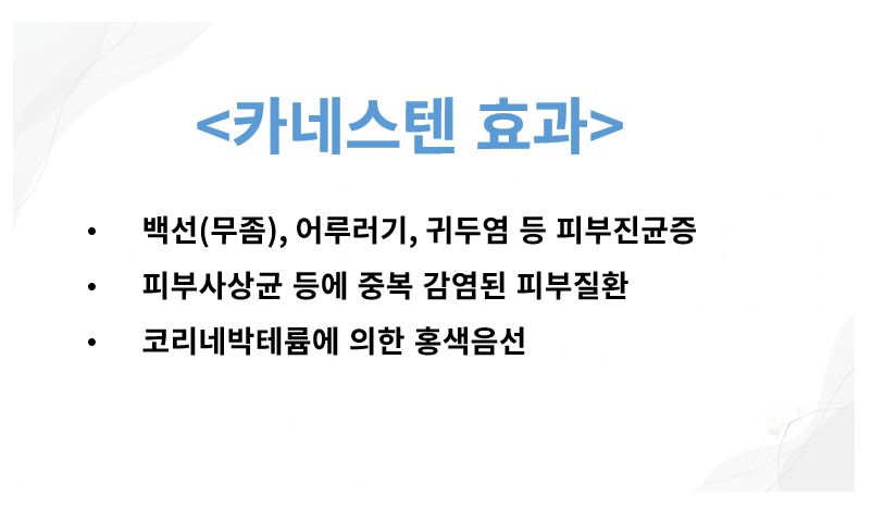 카네스텐 효과 정리 슬라이드