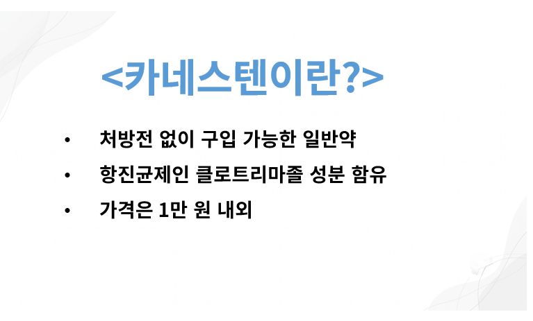 카네스텐 성분 가격 정리 슬라이드
