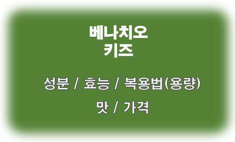 베나치오 키즈 생약소화제 성분 효능 복용법 맛 가격 정보 글 사진