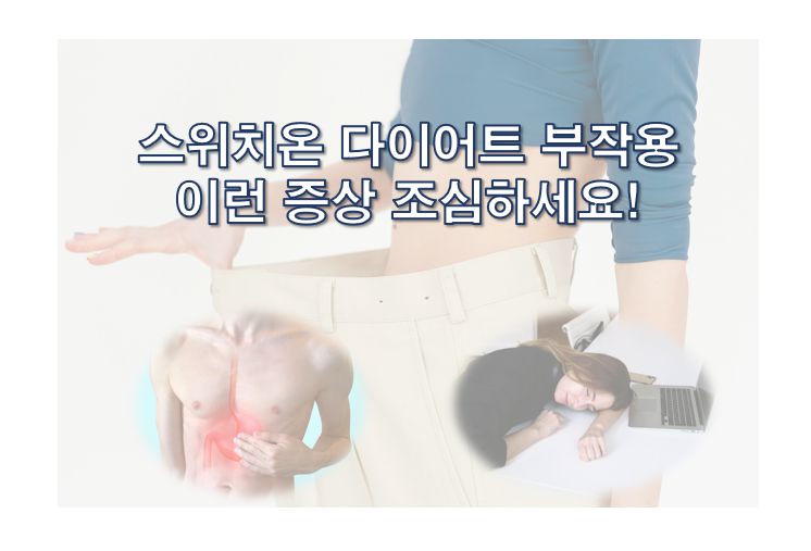 스위치온 다이어트 부작용 정보 글 사진