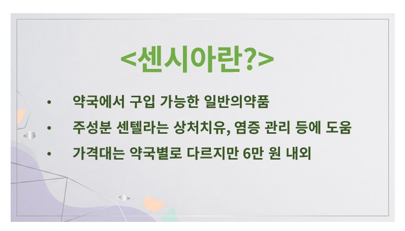 센시아 정의 슬라이드