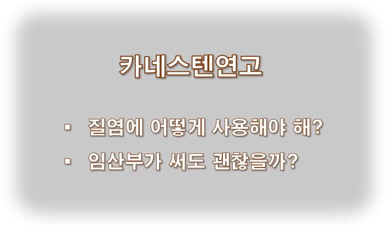 카네스텐연고 질염 효과 바르는법 임산부 안전성 정보 글 사진
