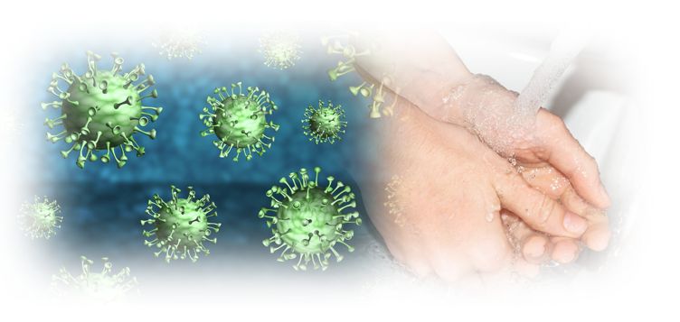 장염바이러스 손씻기 