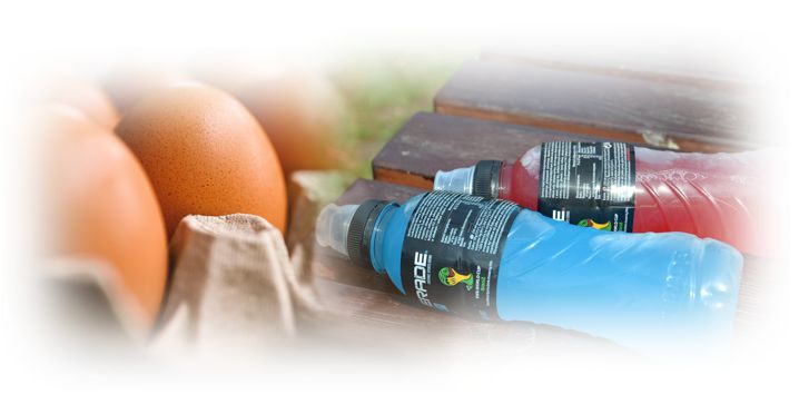 계란 스포츠음료 