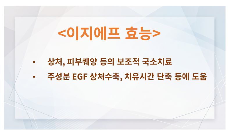 이지에프 효능 슬라이드