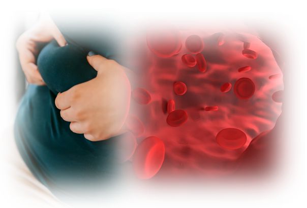 뱃살 콜레스테롤