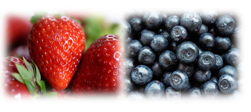 딸기 블루베리 