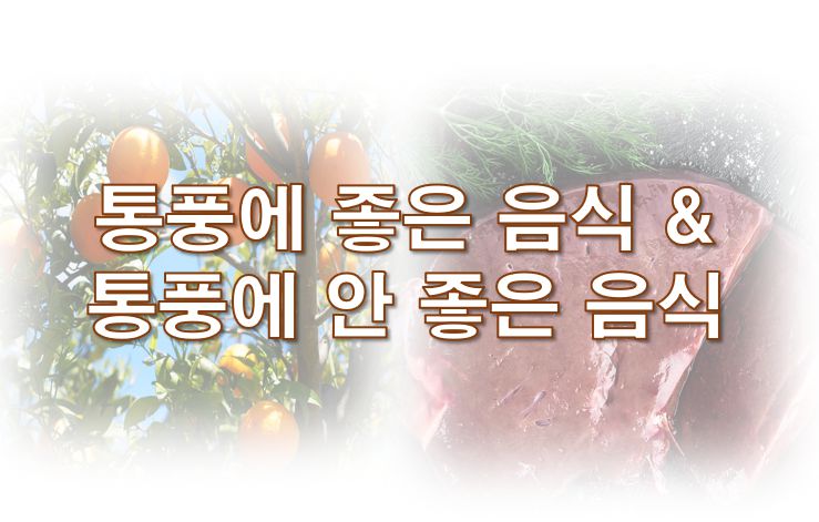 통풍에 좋은 음식 통풍에 안 좋은 음식 정보 글 사진