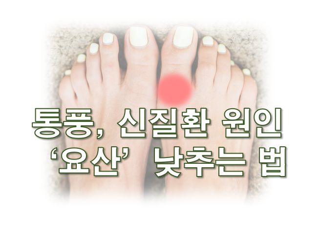 요산 수치 낮추는 법 정보 글 사진