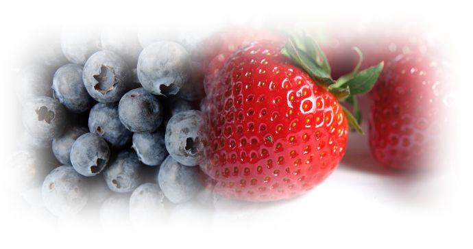 블루베리 딸기 장과류