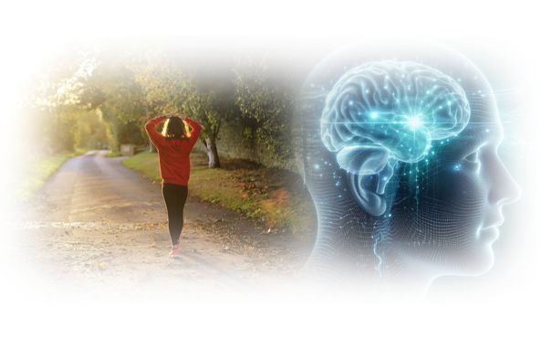 피로회복 뇌기능 개선