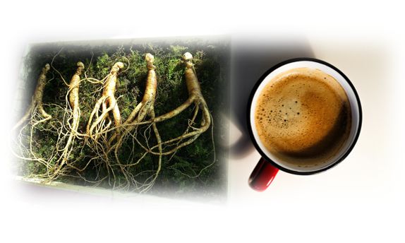 홍삼 커피 