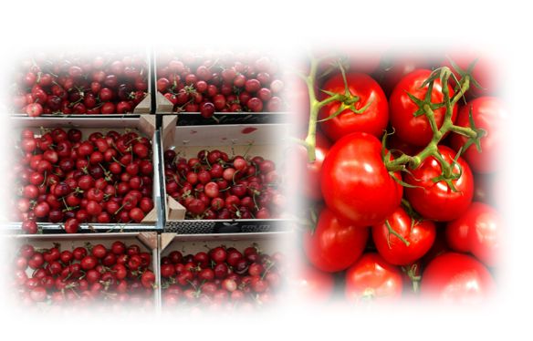 식물성 멜라토닌