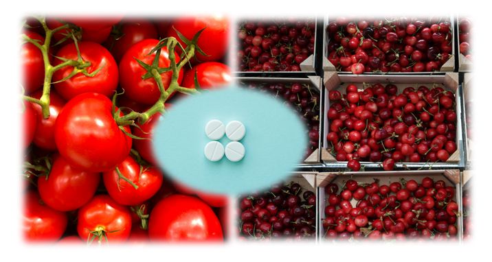 파이토멜라토닌 