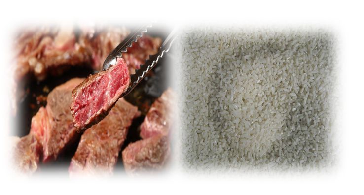 정제탄수화물 고기