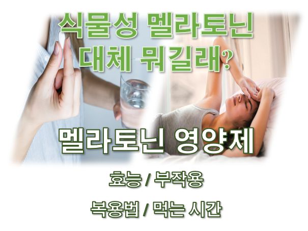 멜라토닌 영양제 효능 부작용 복용법 주의사항 정보 글 커버