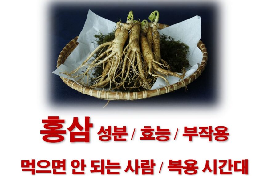 홍삼 성분 효능 부작용 먹으면 안 되는 사람 복용시간 정보
