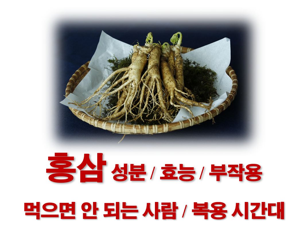 홍삼 성분 효능 부작용 먹으면 안 되는 사람 복용시간 정보