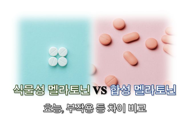 식물성 멜라토닌 vs 합성 멜라토닌 정보 글 커버