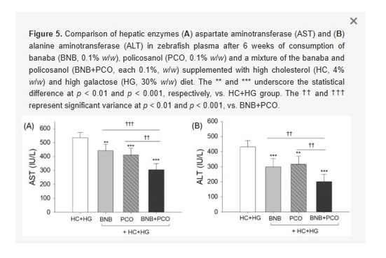 바나바잎 간 수치 효능