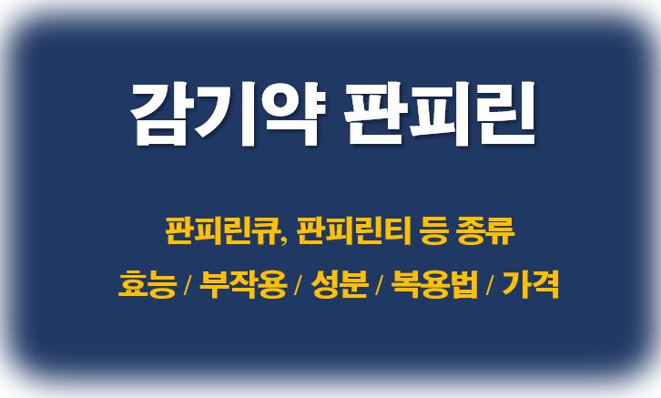 판피린 효능 부작용 성분 종류 복용법 가격 정보 글 커버