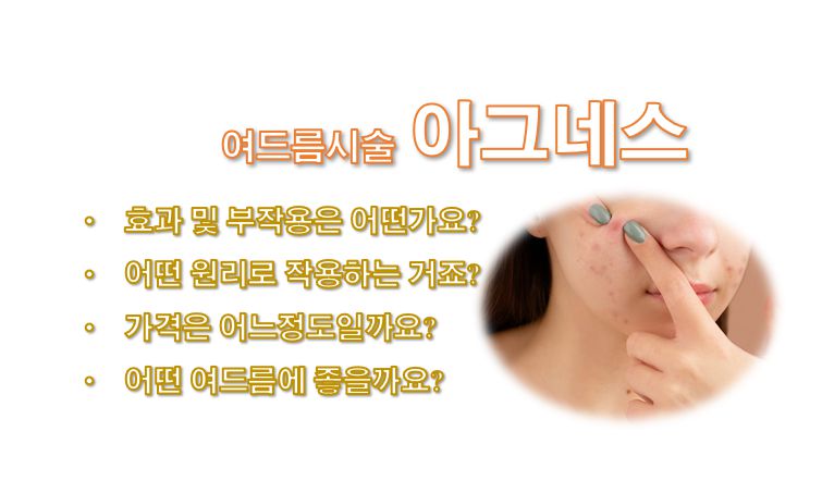 아그네스 효능 부작용 가격 원리 정보 글 커버 사진