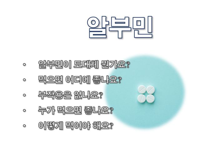 알부민 효능 부작용 먹는 법 정보 글 사진