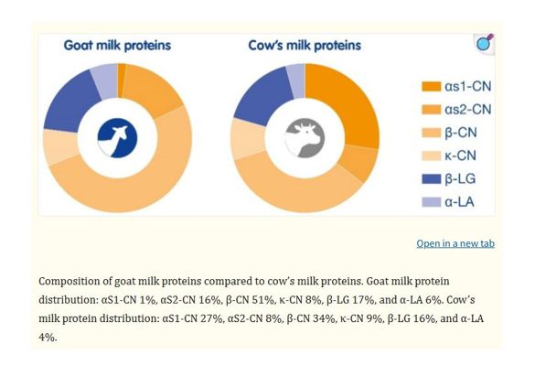 염소젖 소젖 차이 