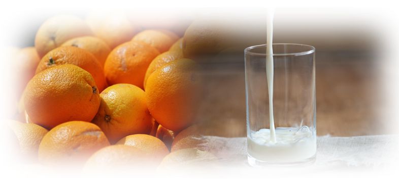 오렌지 우유