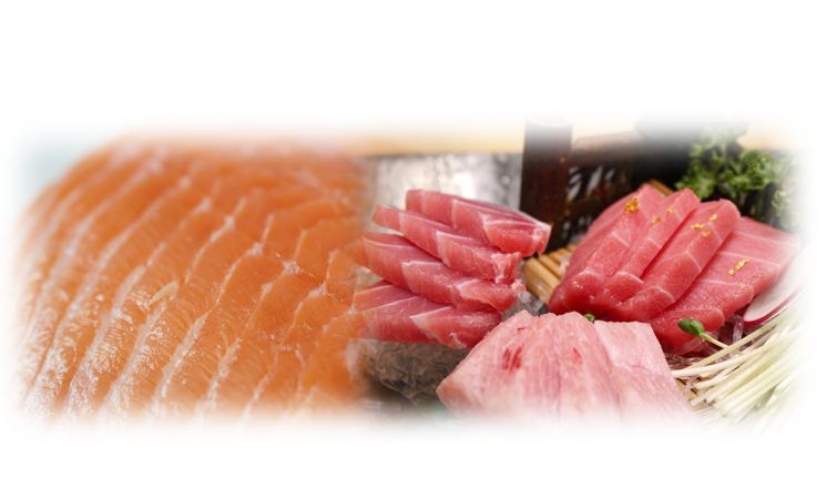 연어 참치