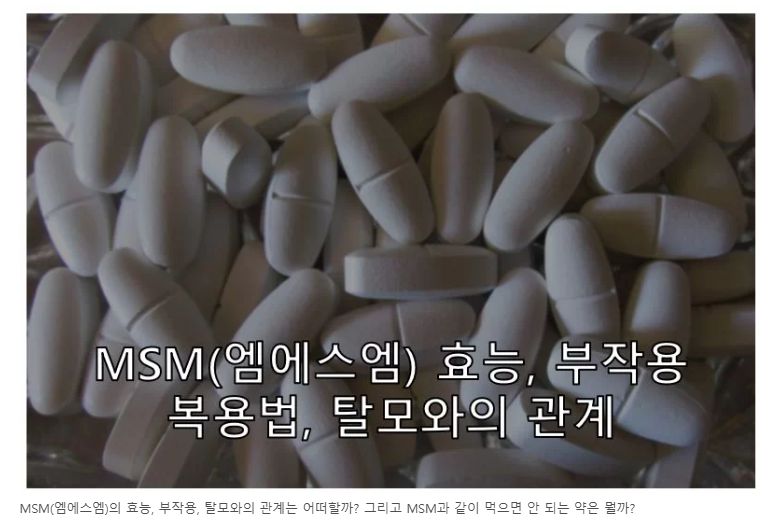 MSM 정보 글 사진