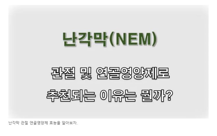 난각막 정보 글 사진
