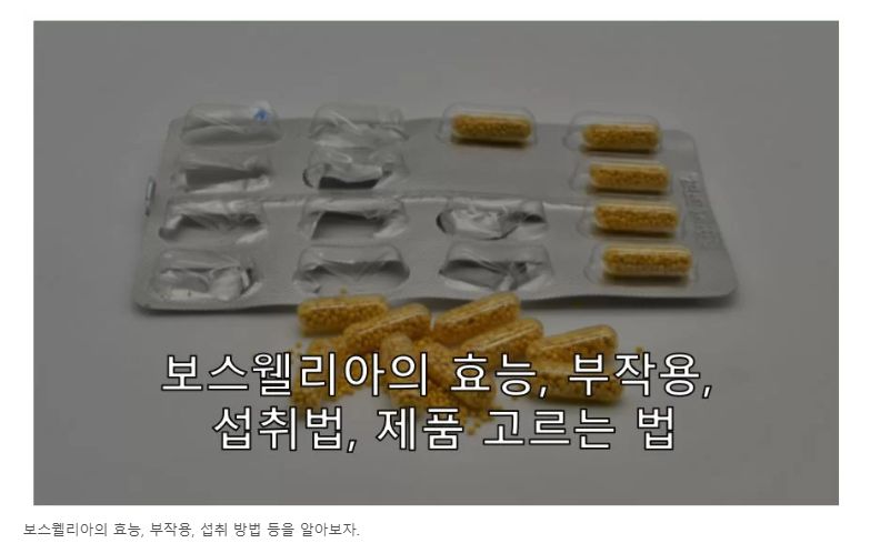 보스웰리아 정보 글 사진