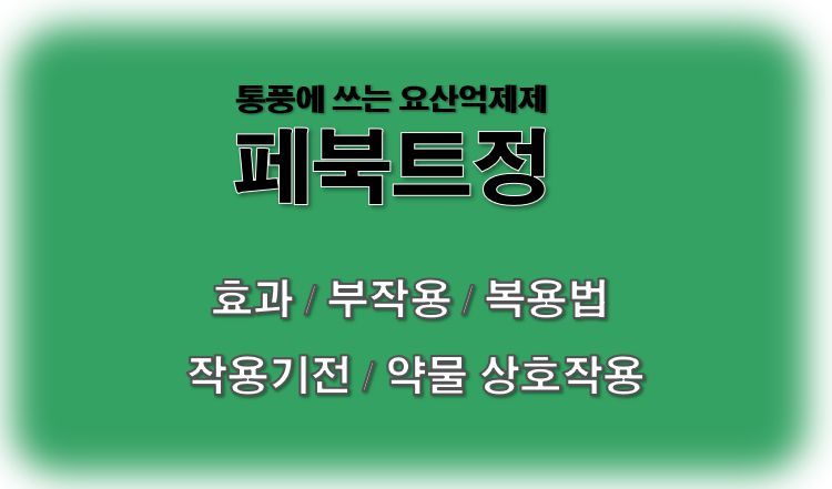 페북트정 요산억제제 효능 부작용 복용법 작용기전 약물 상호작용