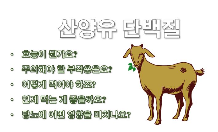 산양유 단백질 효능 부작용 복용법 당뇨 안전성 정보 글 사진