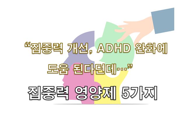 집중력 영양제 프로바이오틱스 오메가 3 카페인 세인트존스워트 홍삼 정보 글