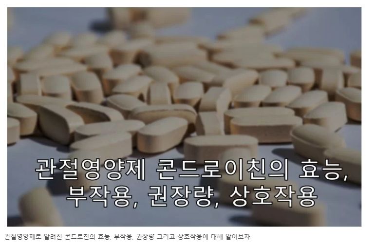 콘드로이친 정보 글 사진