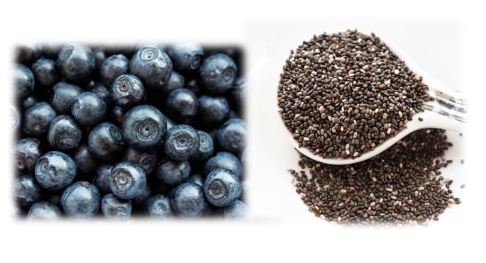 블루베리와 치아씨드