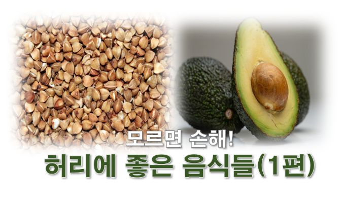 허리에좋은음식 1편 사진