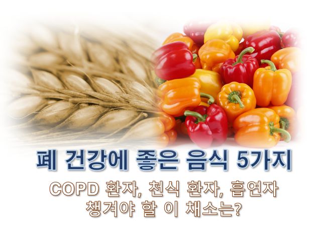 폐 건강에 좋은 음식 5가지 사진